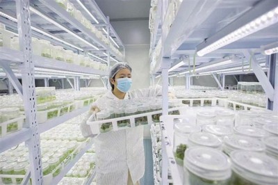“植物工廠”