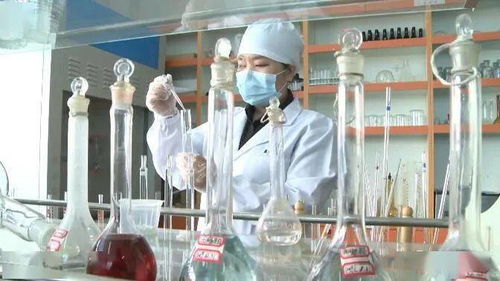 黑河 職能部門(mén)精準(zhǔn)施策 助力企業(yè)紓困解憂