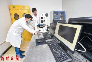 洛陽去年技術(shù)創(chuàng)新體系更加完善 科技產(chǎn)業(yè)融合更加緊密